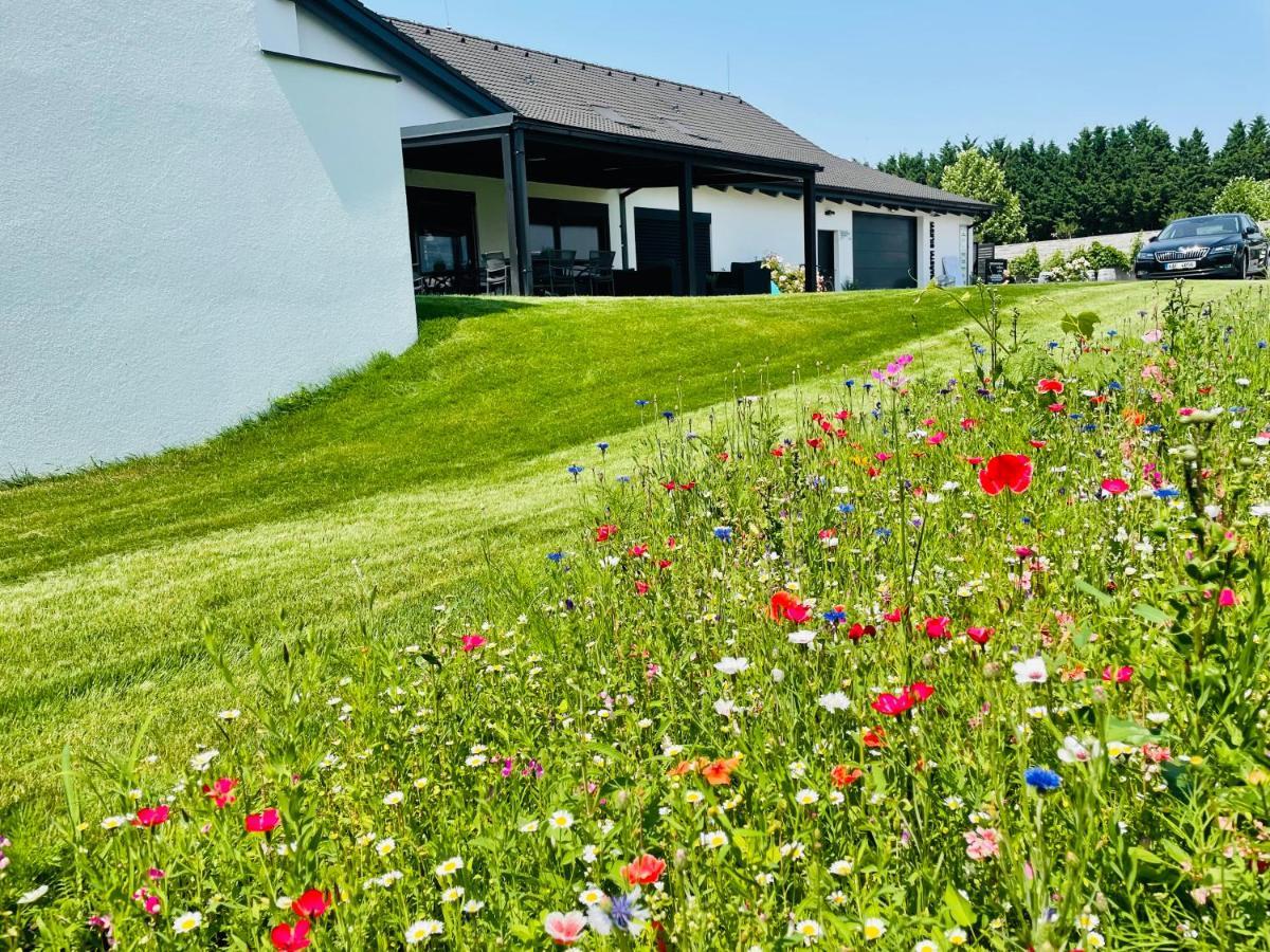 Penzion Vinarstvi Bilkovi Velké Bílovice Eksteriør billede